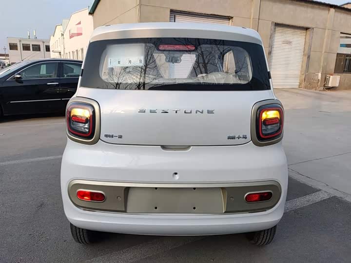 Фото 6 - Bestune Pony