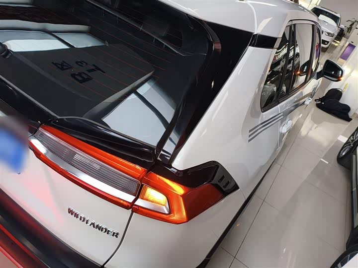 Фото 7 - Toyota Wildlander