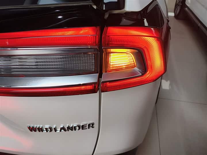 Фото 8 - Toyota Wildlander