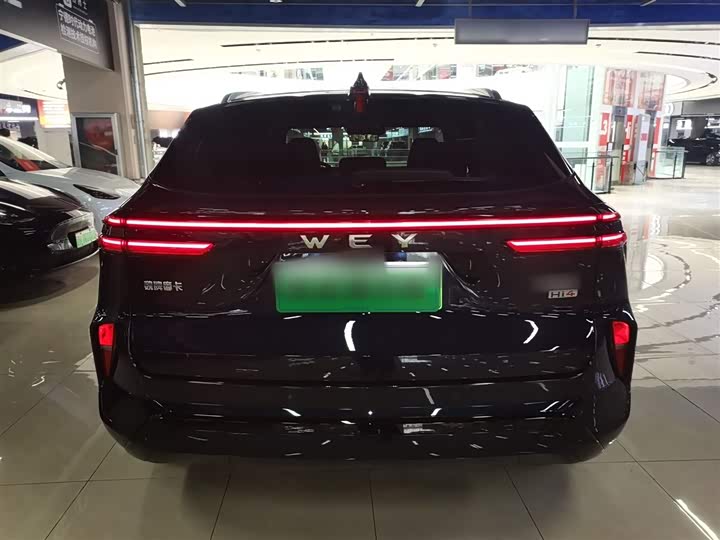 Фото 6 - Wey Mocca Hybrid