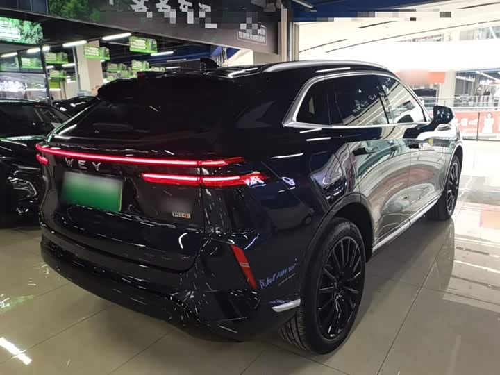 Фото 7 - Wey Mocca Hybrid