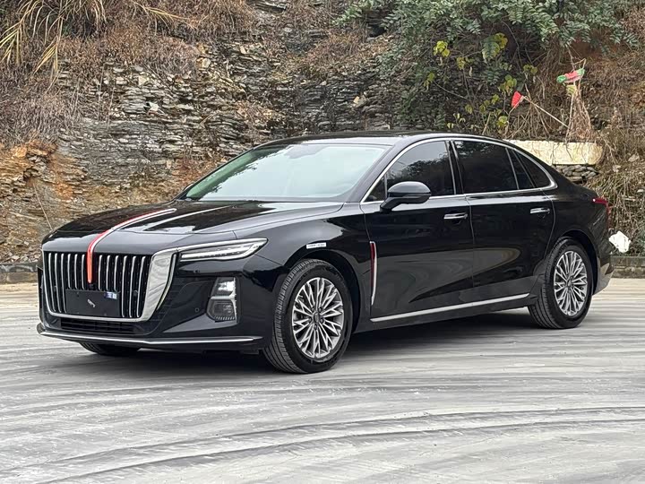 Фото 1 - Hongqi H5