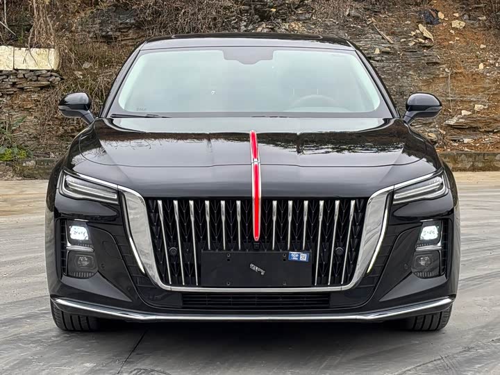 Фото 2 - Hongqi H5