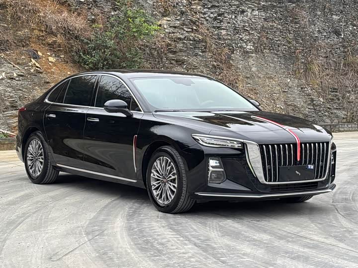 Фото 3 - Hongqi H5