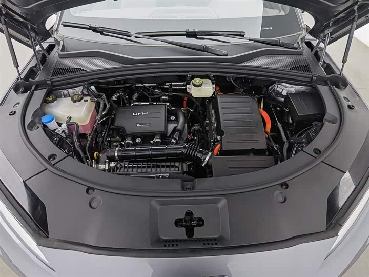 Фото 6 - BYD Song Plus Hybrid/EV