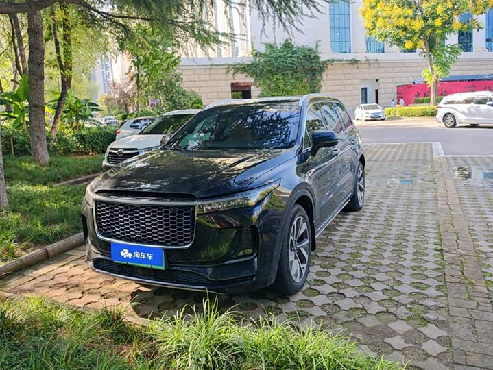 Фото 2 - LiXiang One