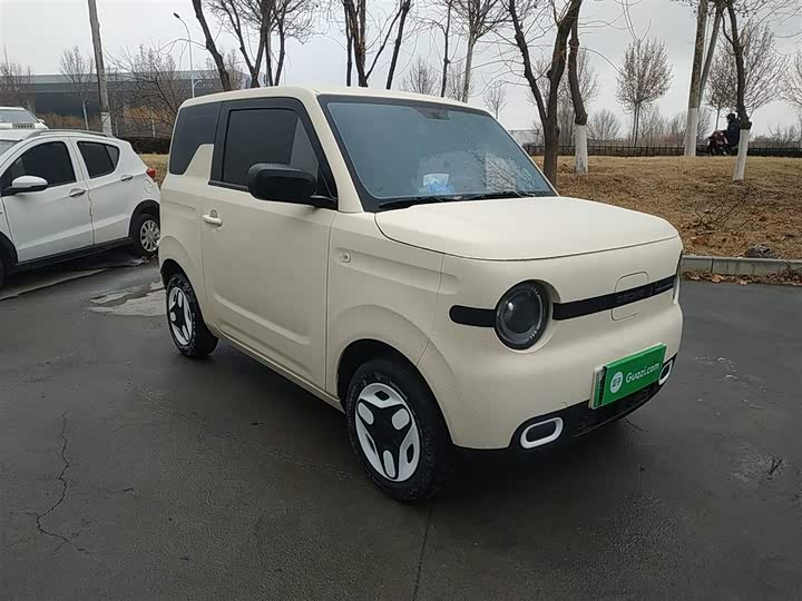 Фото 4 - Geely Galaxy Panda Mini