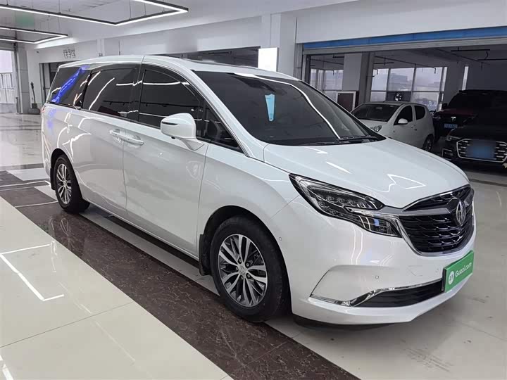 Фото 4 - Buick GL8 ES