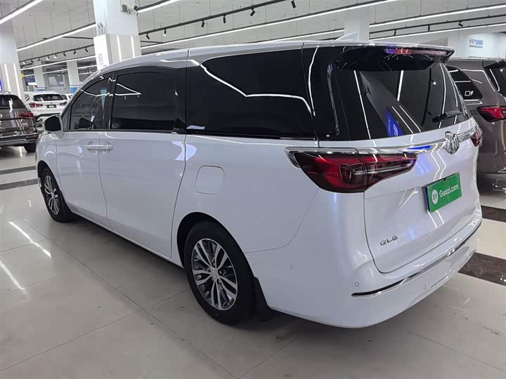 Фото 5 - Buick GL8 ES