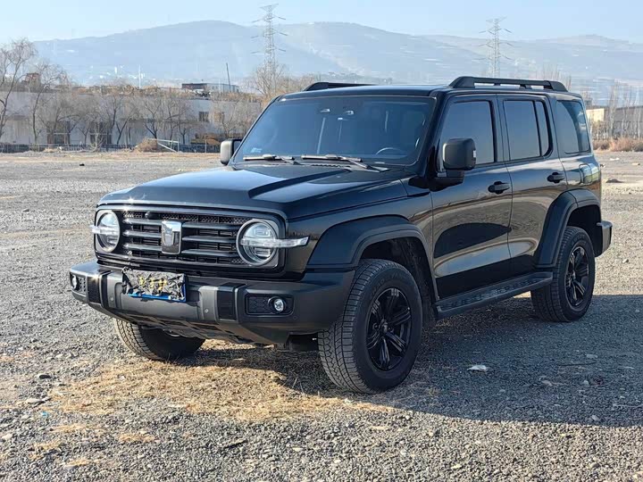 Фото 1 - Tank 300