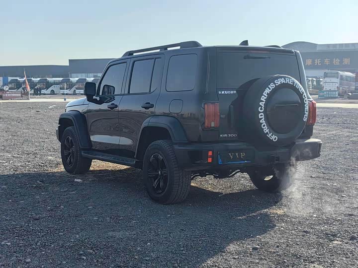 Фото 4 - Tank 300