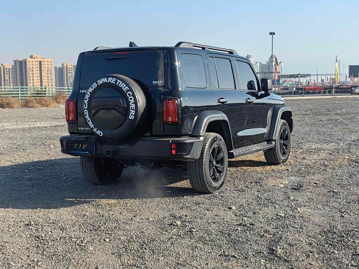 Фото 6 - Tank 300