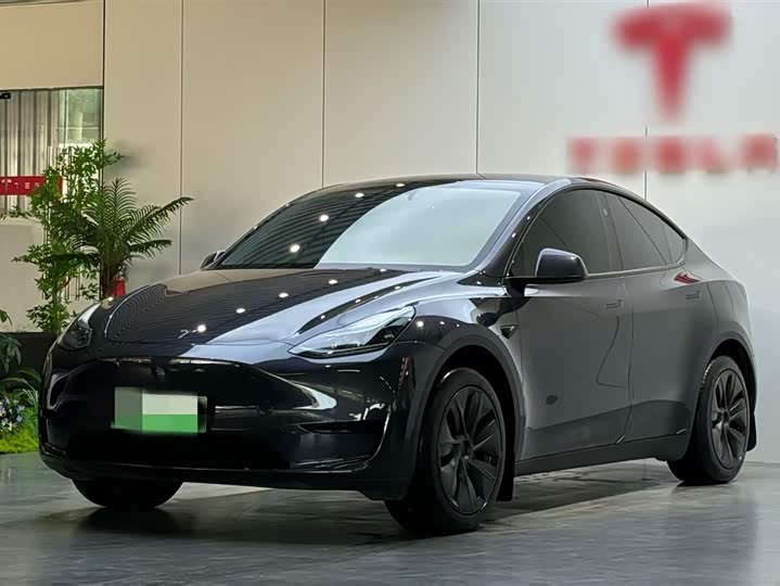 Фото 2 - Tesla Model Y