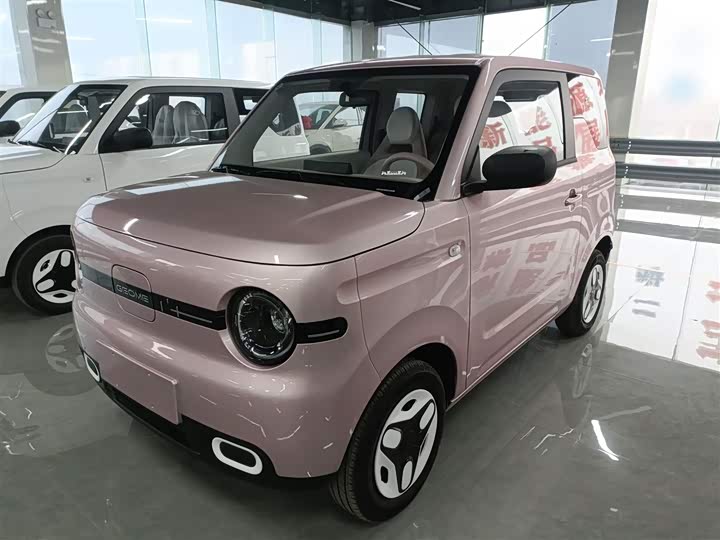Фото 2 - Geely Galaxy Panda Mini