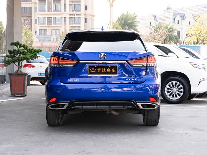 Фото 5 - Lexus RX