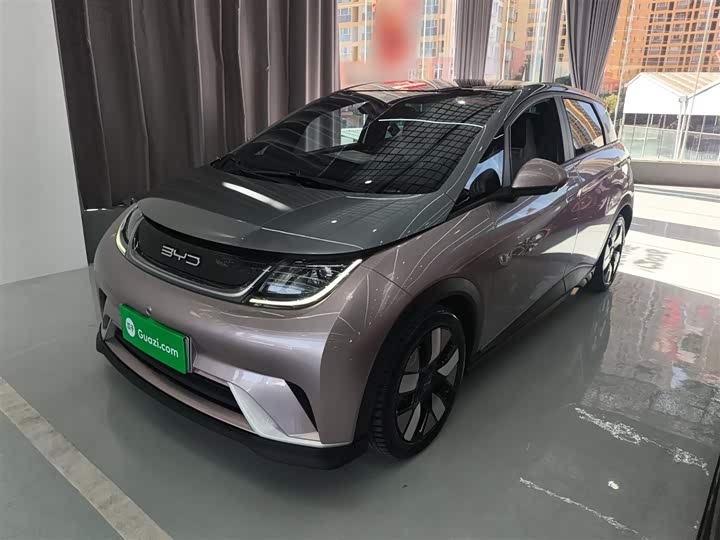 Фото 2 - BYD Dolphin