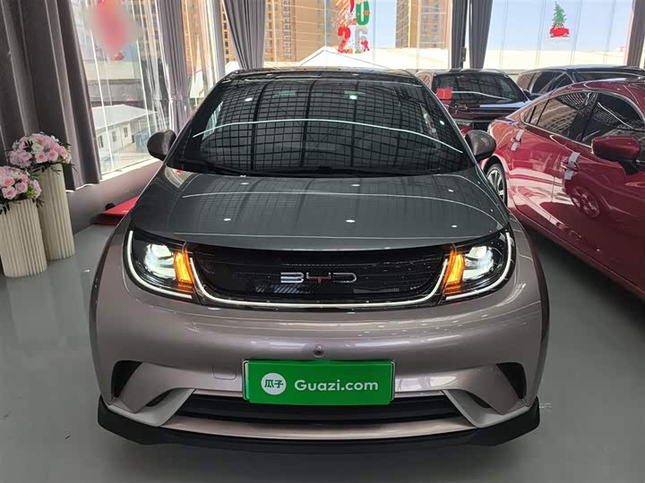 Фото 3 - BYD Dolphin