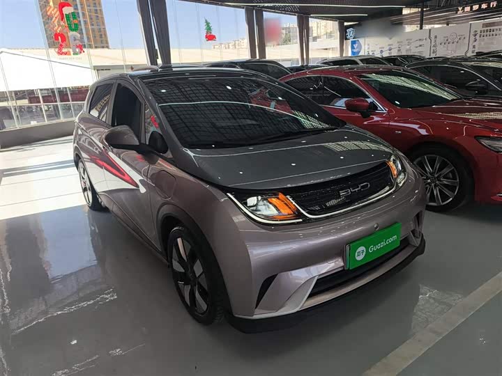 Фото 4 - BYD Dolphin