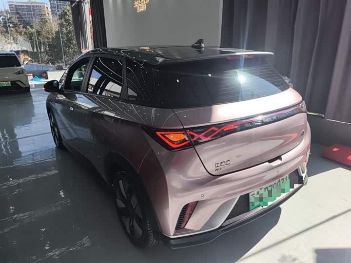 Фото 5 - BYD Dolphin