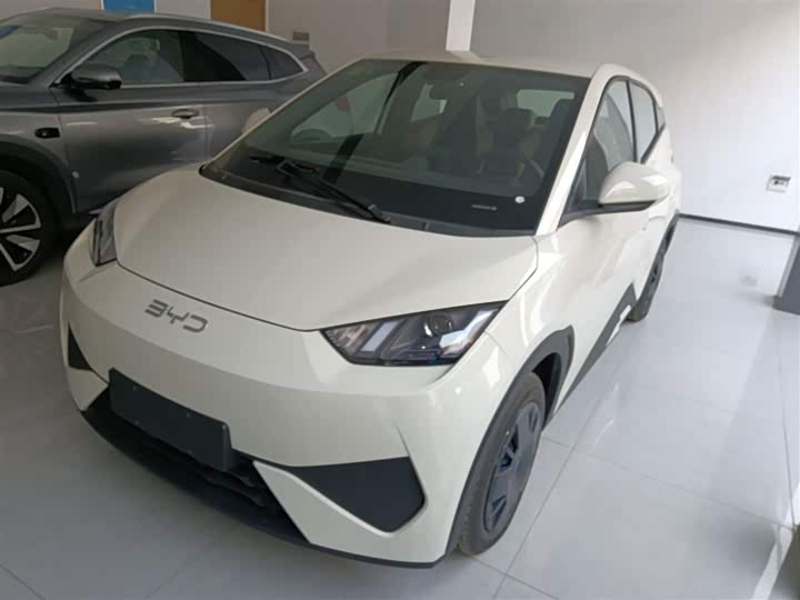 Фото 1 - BYD Seagull