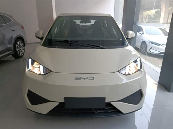 Фото 3 - BYD Seagull