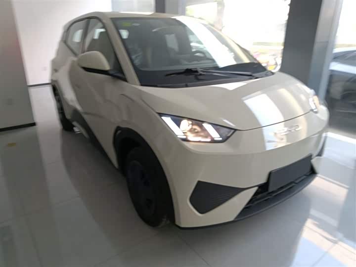 Фото 4 - BYD Seagull