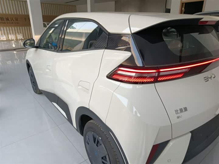 Фото 5 - BYD Seagull