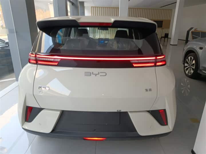 Фото 6 - BYD Seagull