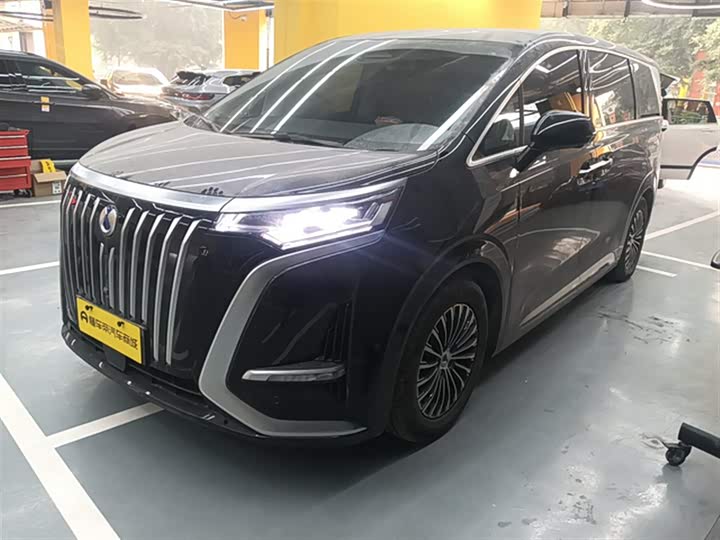 Фото 2 - Denza D9