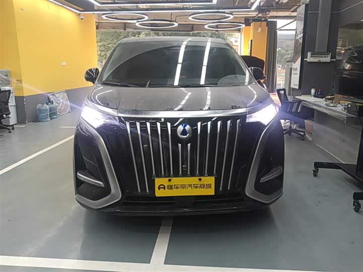 Фото 3 - Denza D9