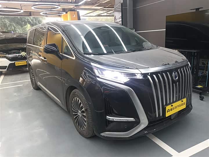 Фото 4 - Denza D9