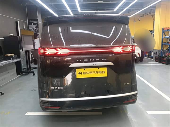 Фото 6 - Denza D9