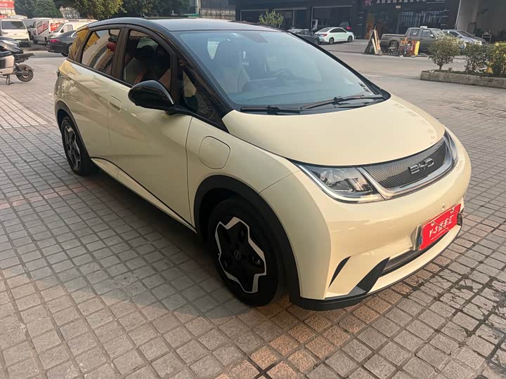 Фото 3 - BYD Dolphin