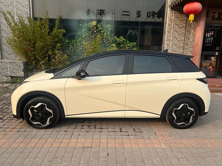 Фото 4 - BYD Dolphin