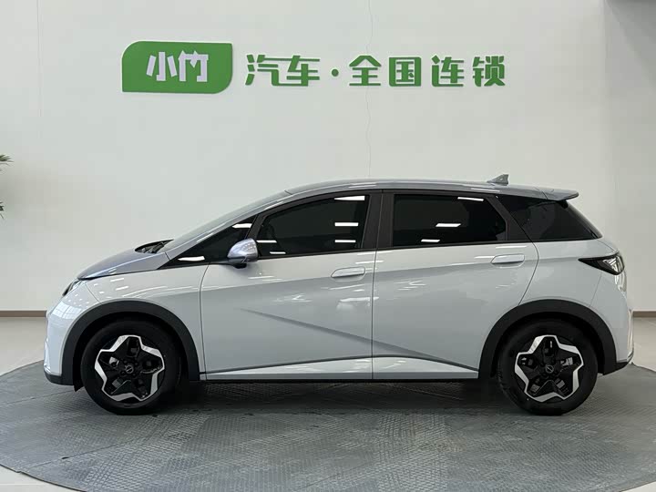 Фото 2 - BYD Dolphin