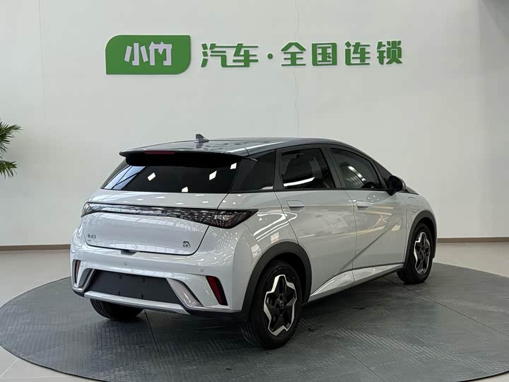 Фото 6 - BYD Dolphin