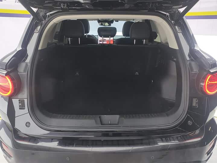 Фото 4 - Haval H-Dog