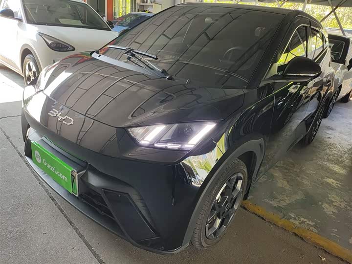 Фото 1 - BYD Seagull