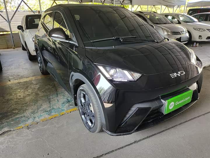 Фото 4 - BYD Seagull