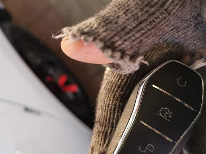 Фото 9 - BYD Qin Plus