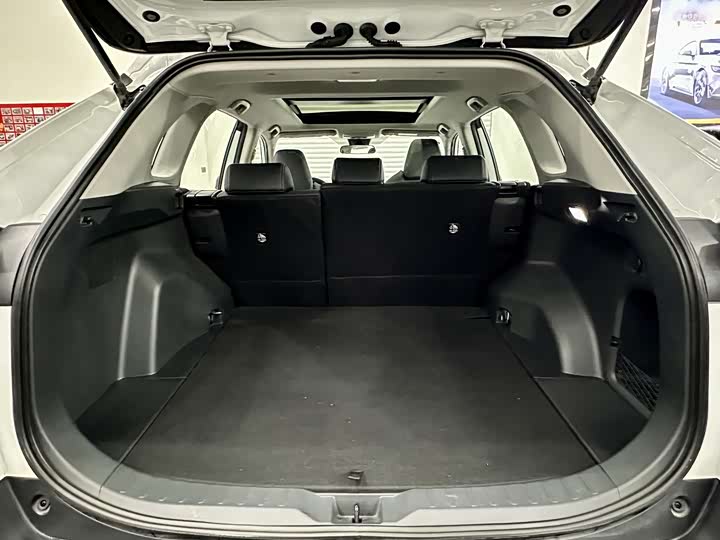 Фото 7 - Toyota Wildlander