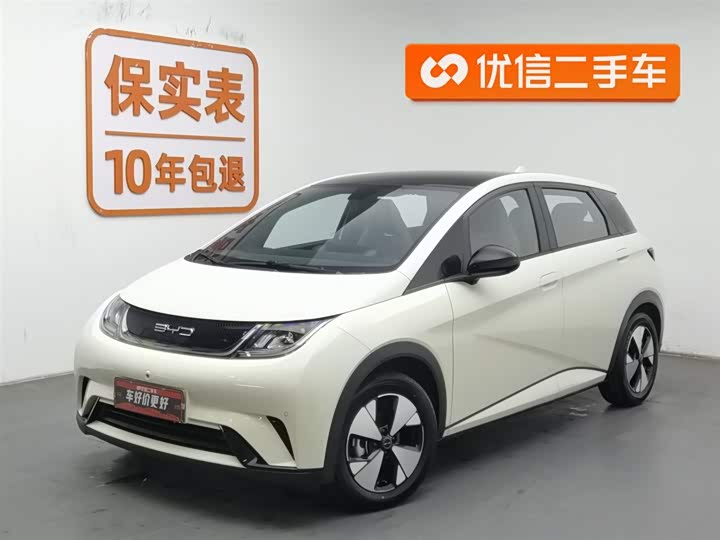 Фото 1 - BYD Dolphin