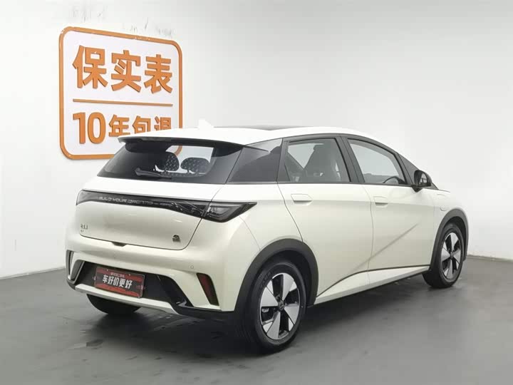 Фото 2 - BYD Dolphin