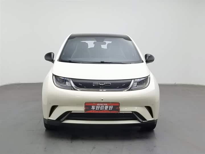 Фото 3 - BYD Dolphin