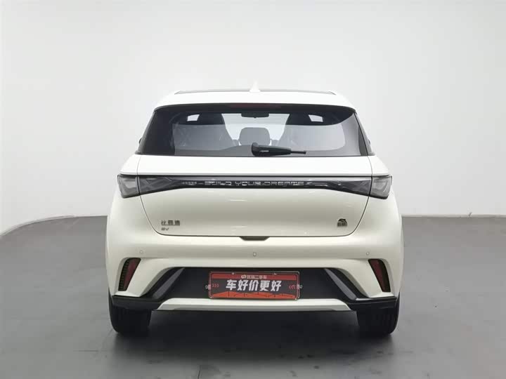 Фото 4 - BYD Dolphin