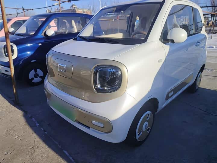 Фото 2 - Bestune Pony