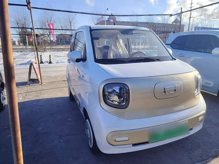 Фото 7 - Bestune Pony