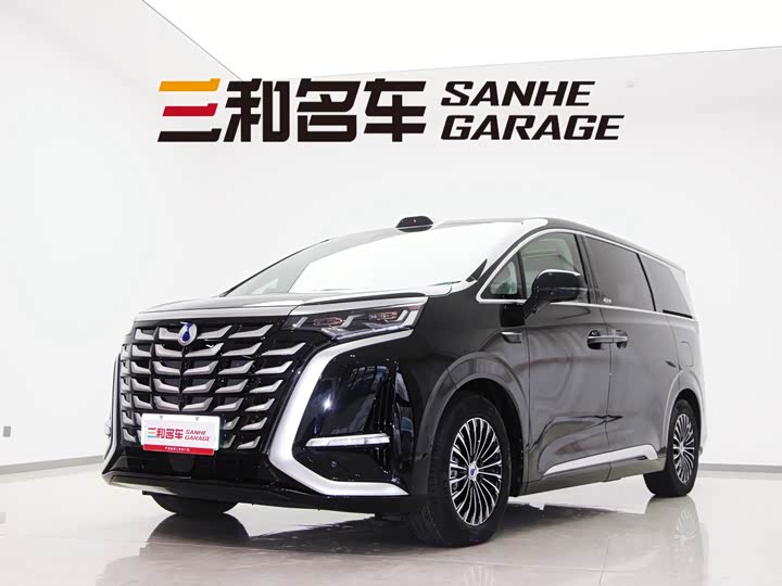 Фото 1 - Denza D9