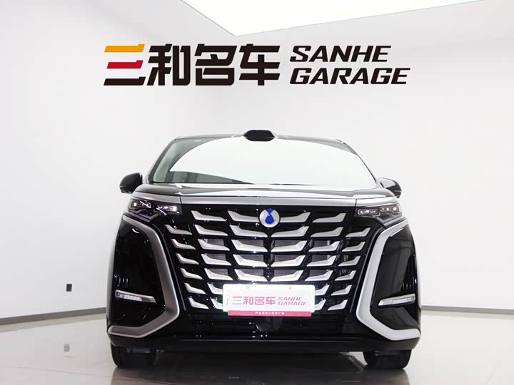 Фото 2 - Denza D9