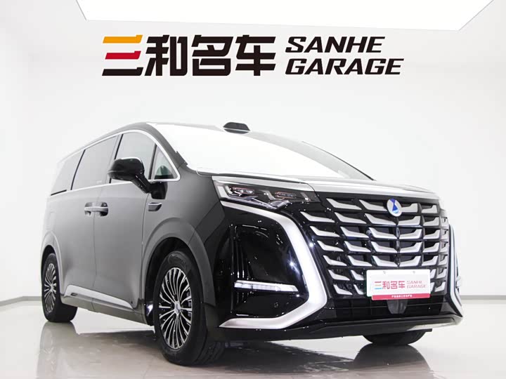 Фото 3 - Denza D9